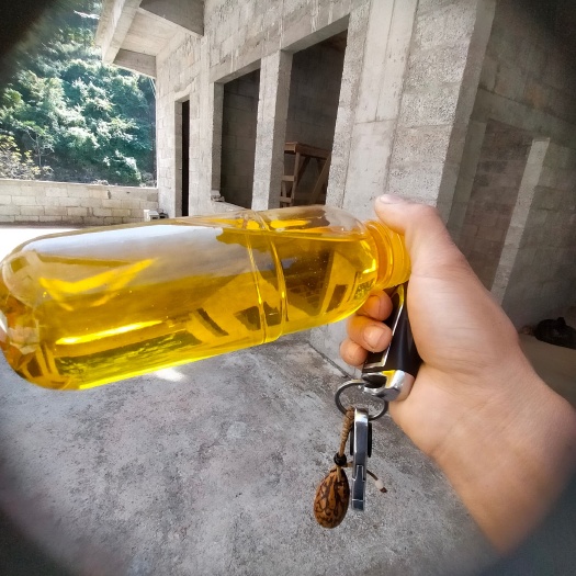 隆林县正宗山茶油