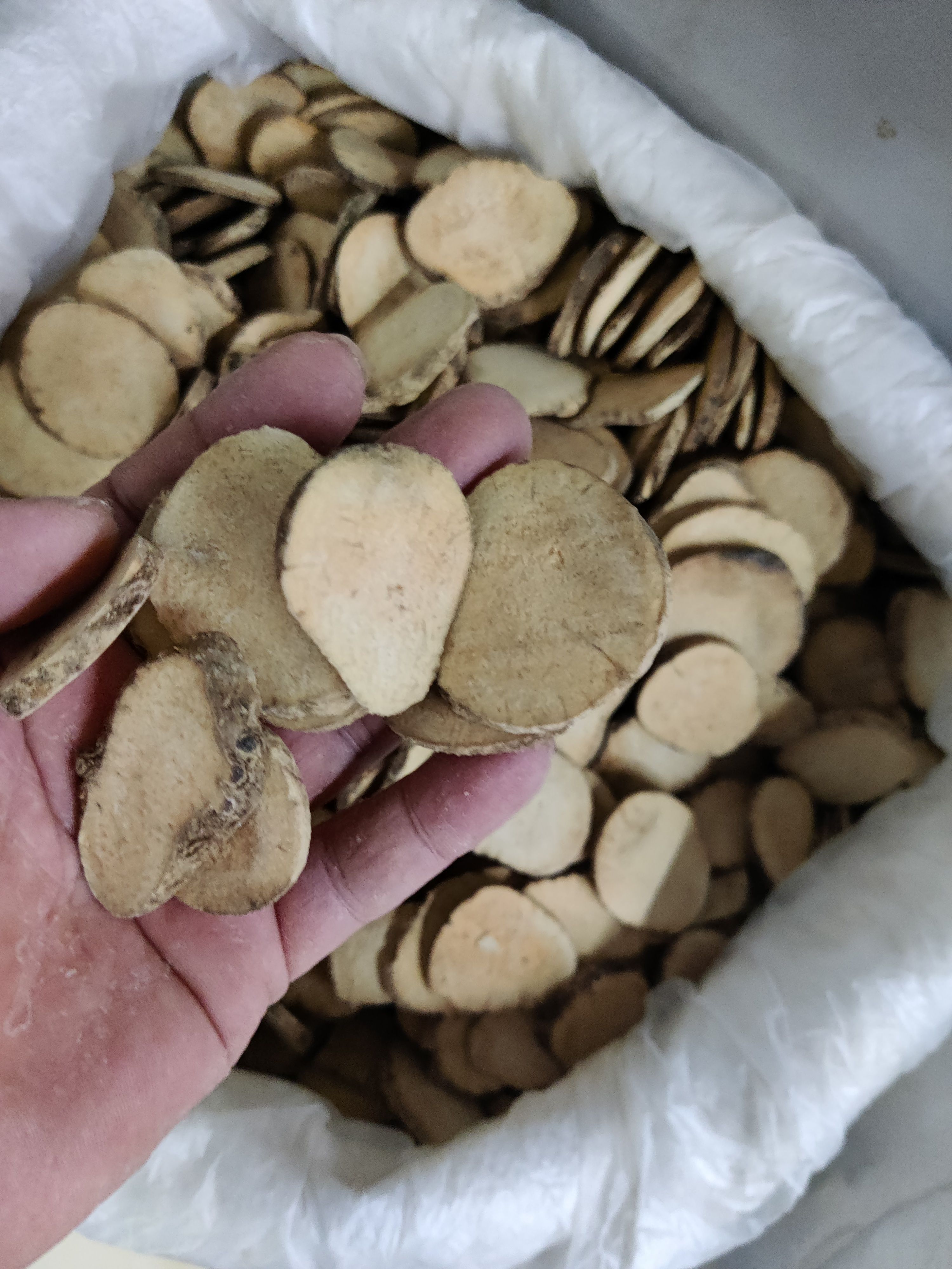 泽泻 泽泻中药材 制泽泻 正宗道地中药材