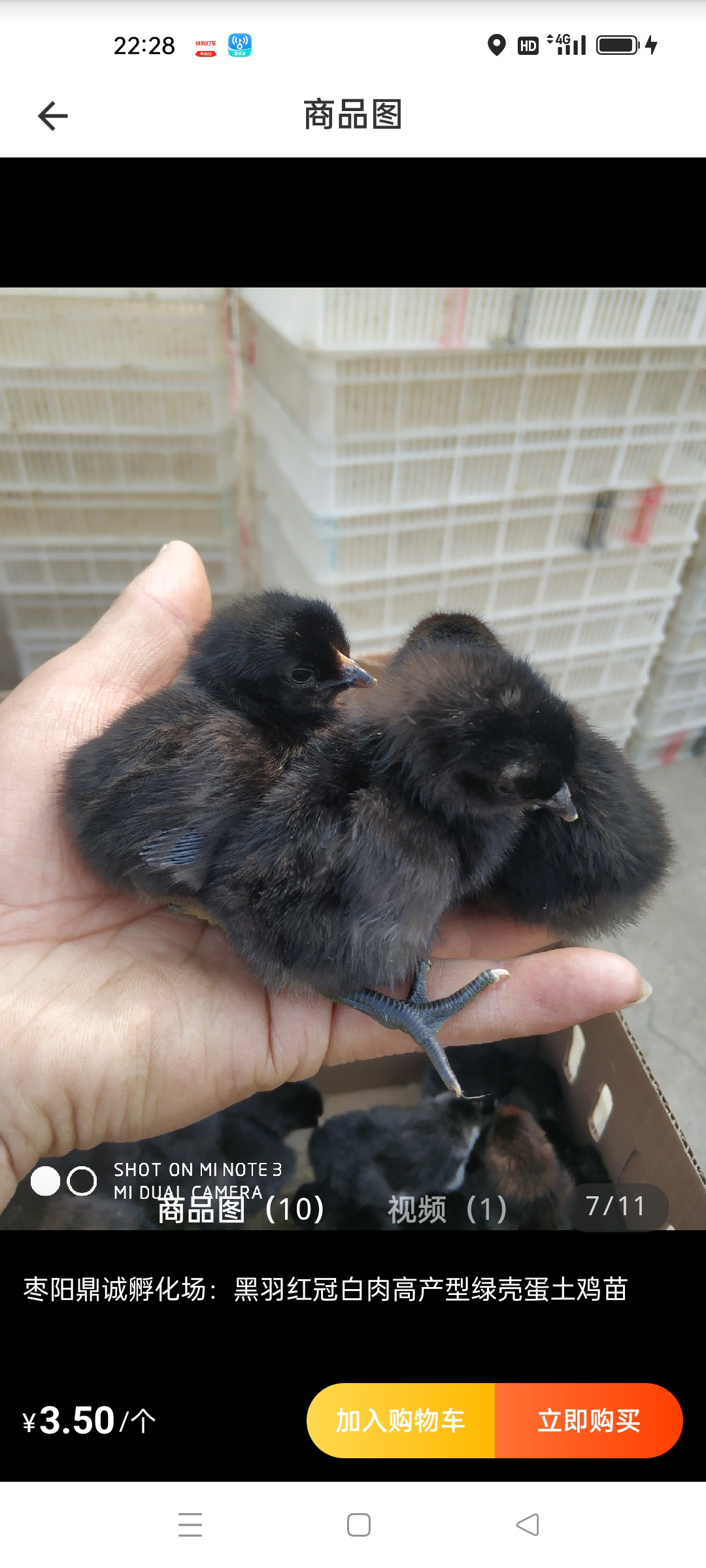 新廣禽苗