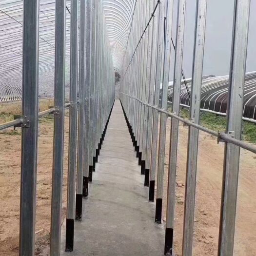 德州双拱双膜温室，保温效果很好，适用度广