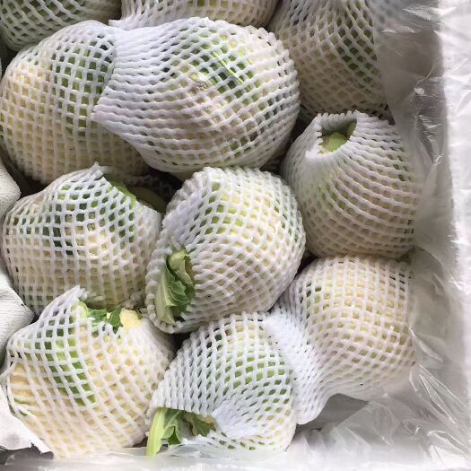 乐亭县花菜