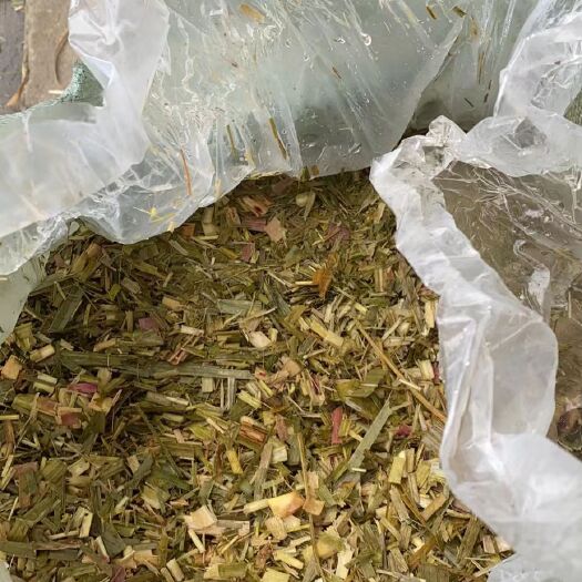宾阳县甘蔗尾青贮草料
