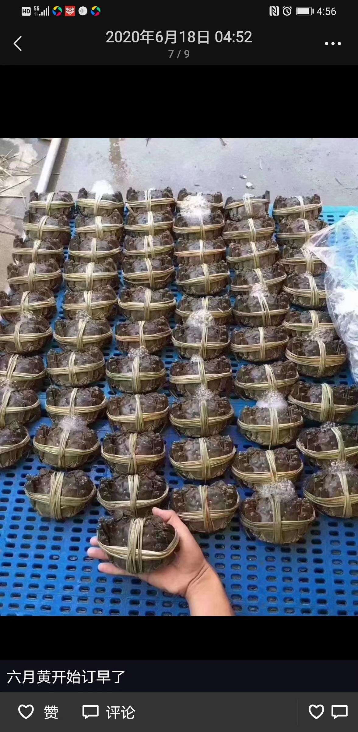 大闸蟹 2公78一盒