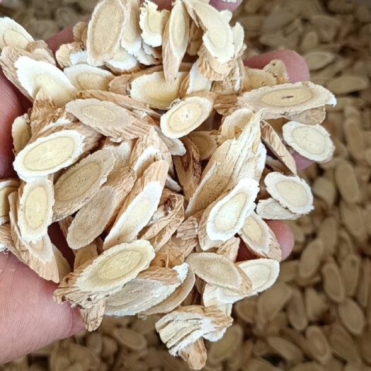 岷县黄芪切片  黄芪选片0.8-1.0