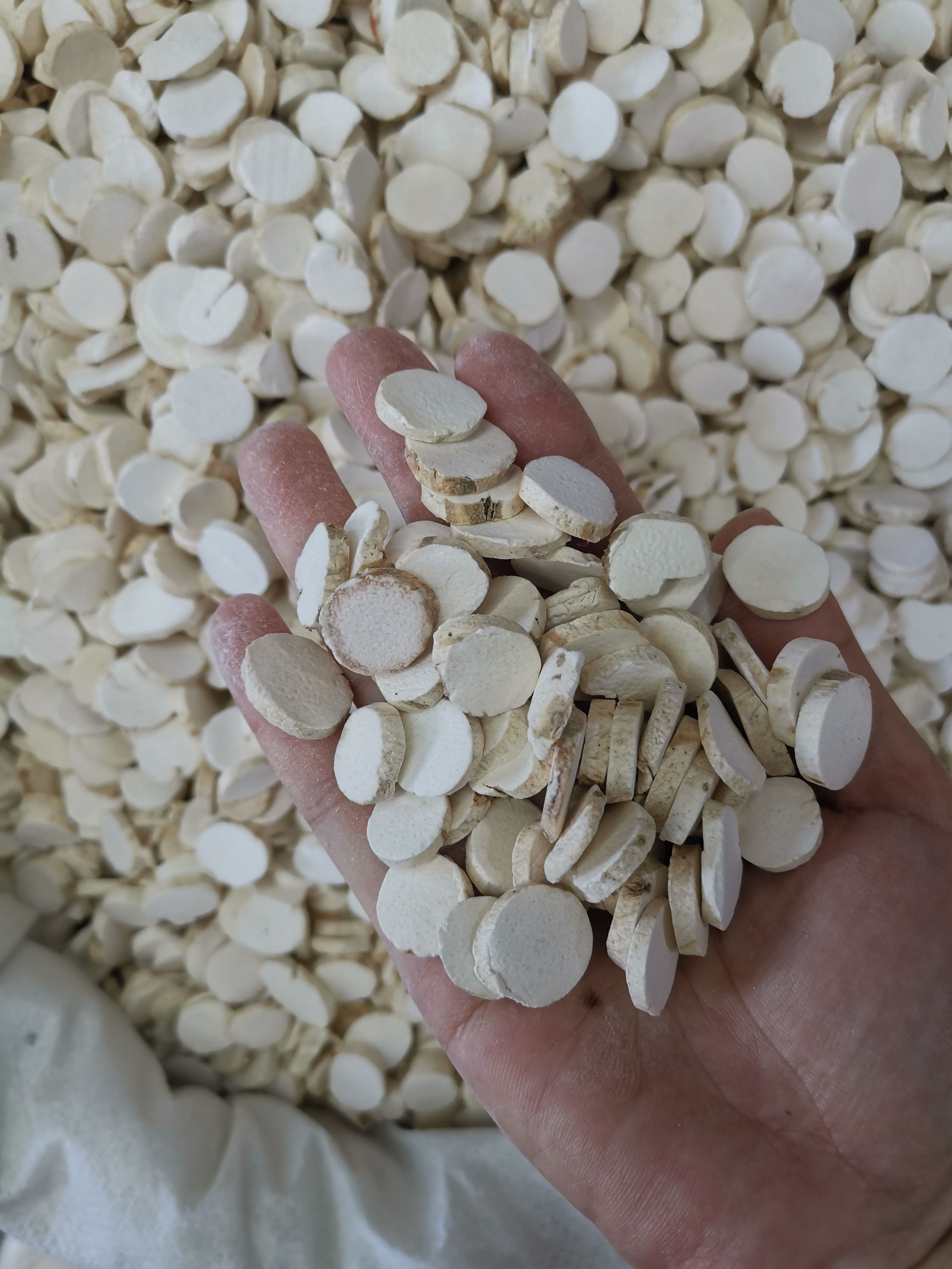 山药片 新货山药圆片干片 铁棍山药片淮山药片 产地一手货源