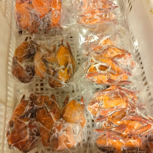 新兴县乳鸽腌制半成品酒楼饭店围餐专用红烧乳鸽烧腊拼盘