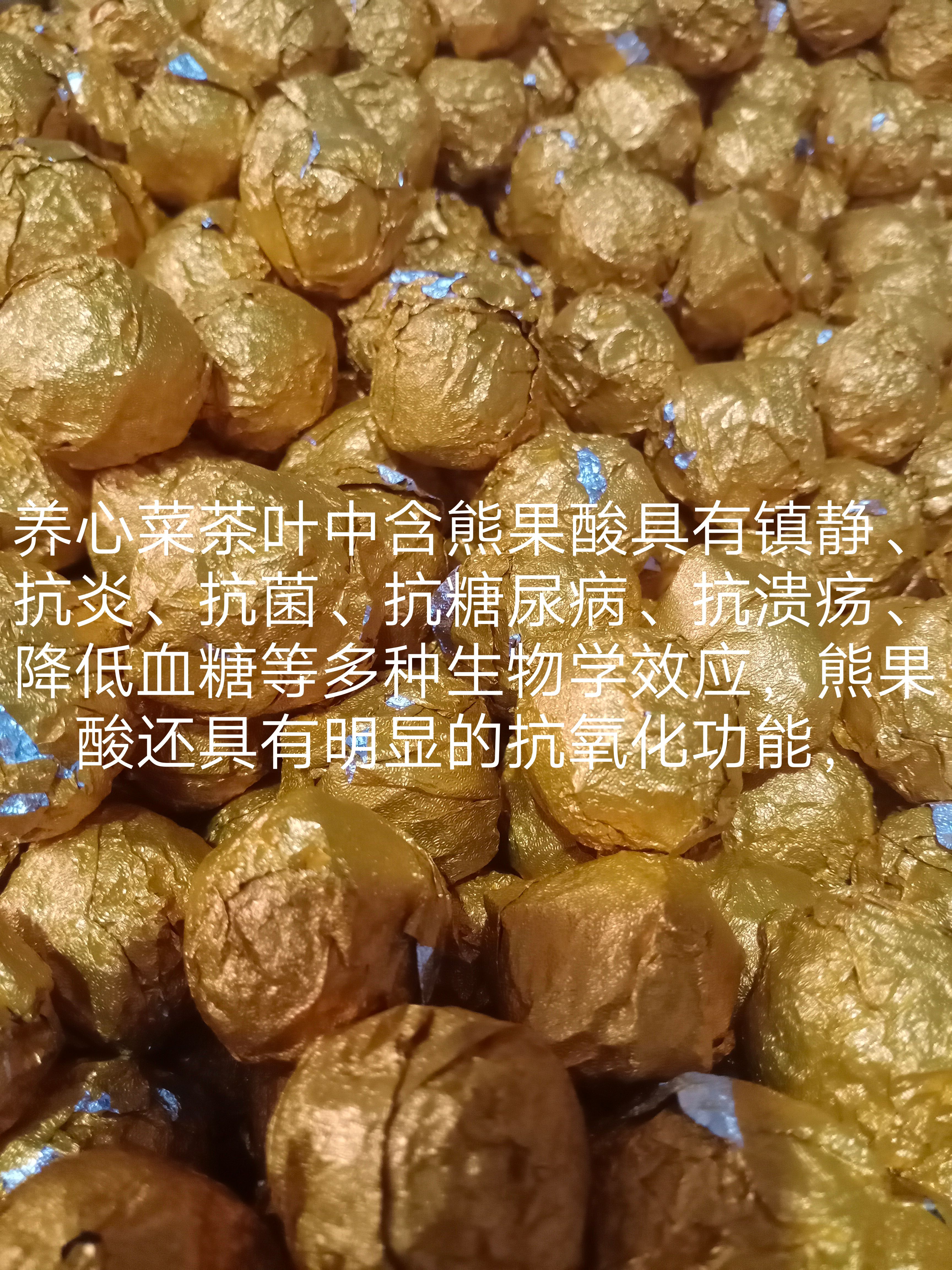 救心菜 养心菜 费菜 高钙菜 茶叶