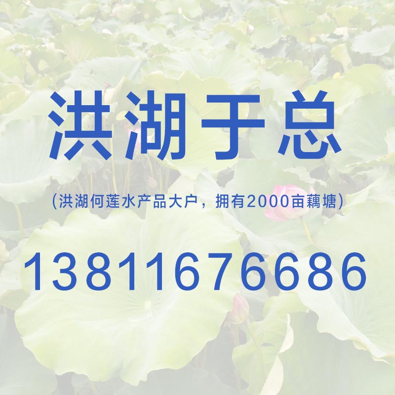 老于家洪湖特產(chǎn)