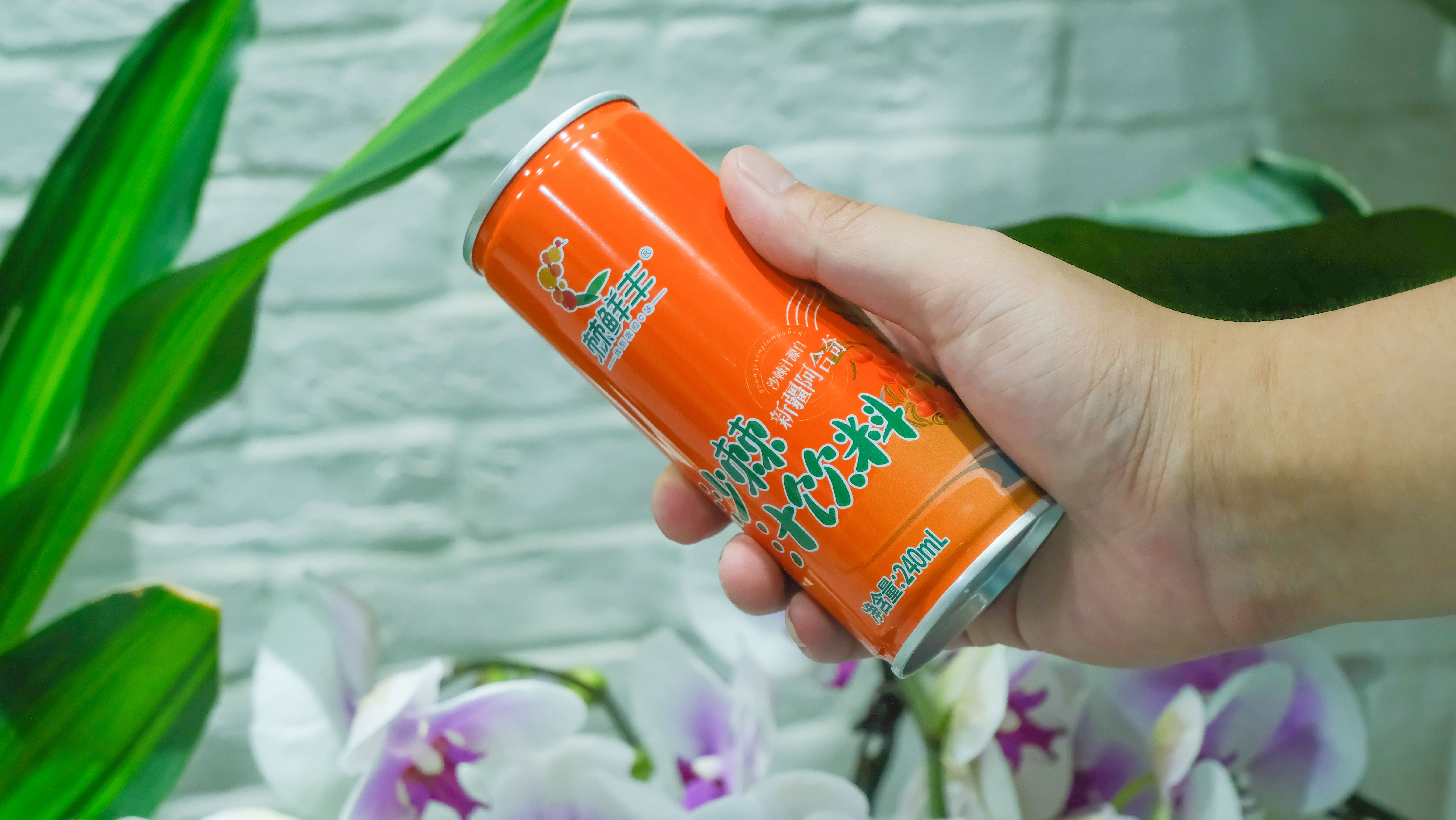 沙棘原浆/沙棘饮料/沙棘果粉/沙棘油