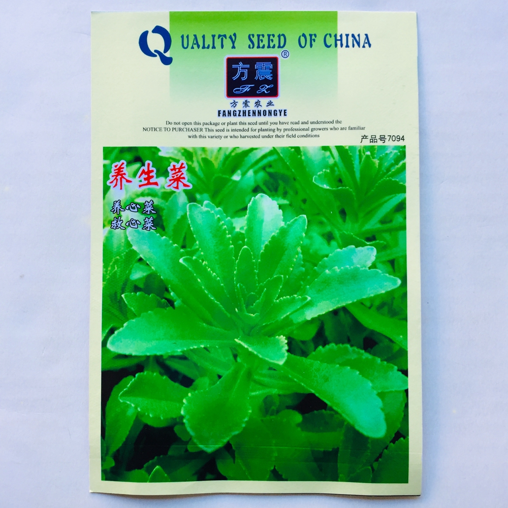 沭阳县养心菜救心菜种子种籽四季春季播盆栽阳台庭院蔬菜野菜种孑
