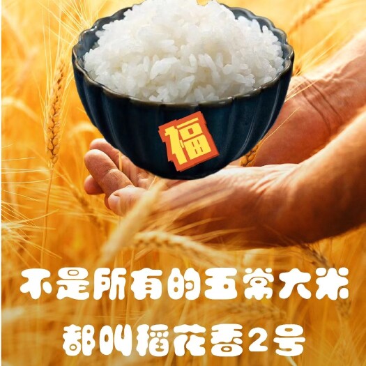 五常市正宗东北五常稻花香2号（假一赔万）