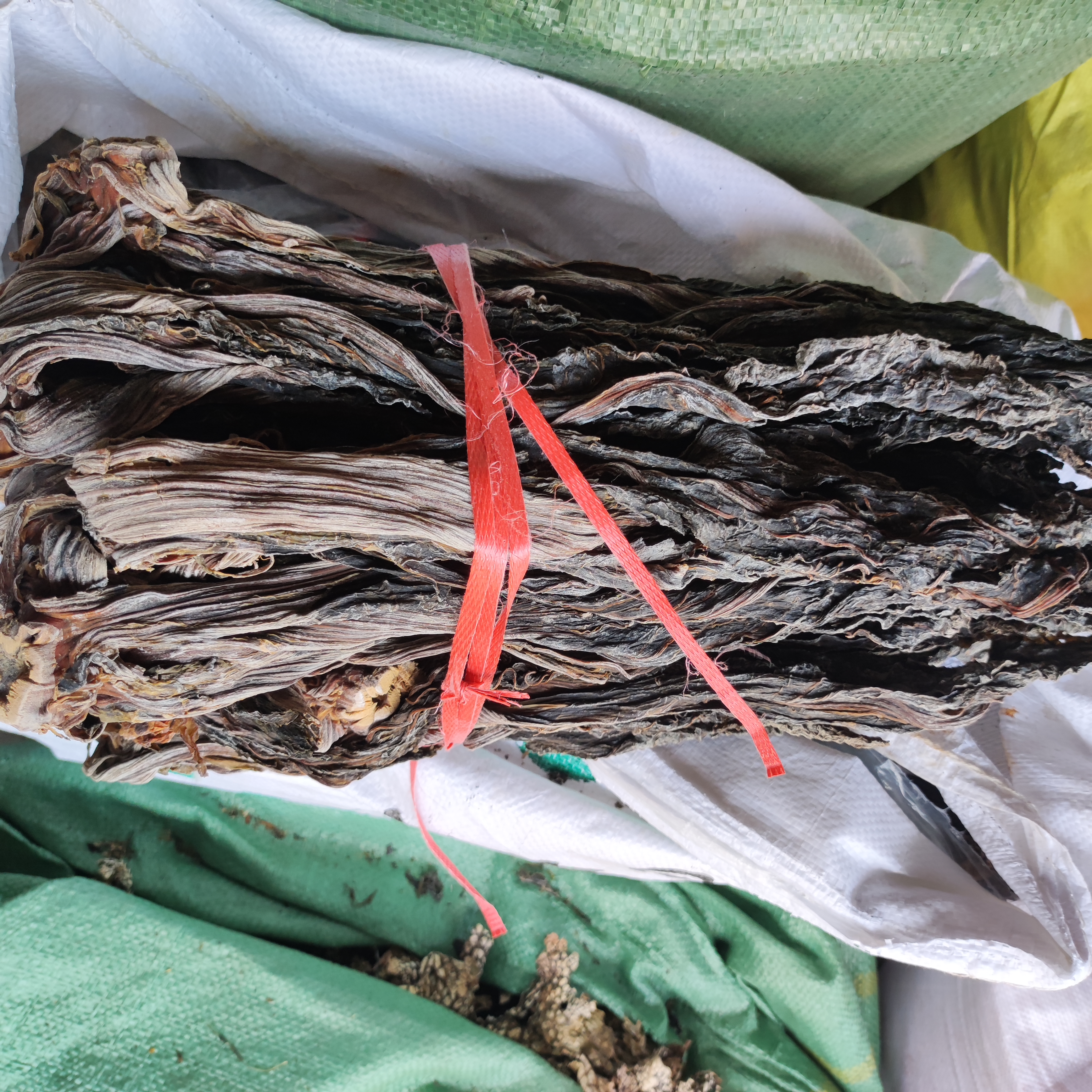 云南特产干酸菜，干净，无硫，醇香，无沙