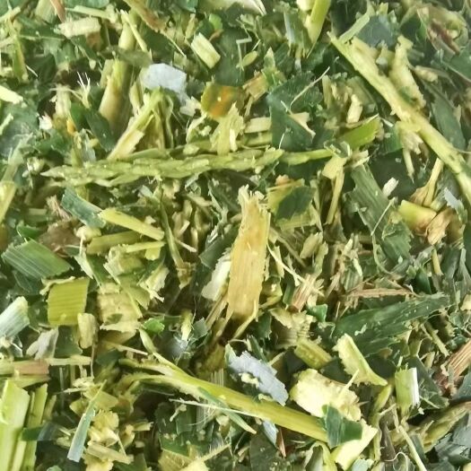 宾阳县甜玉米秸秆青贮草料