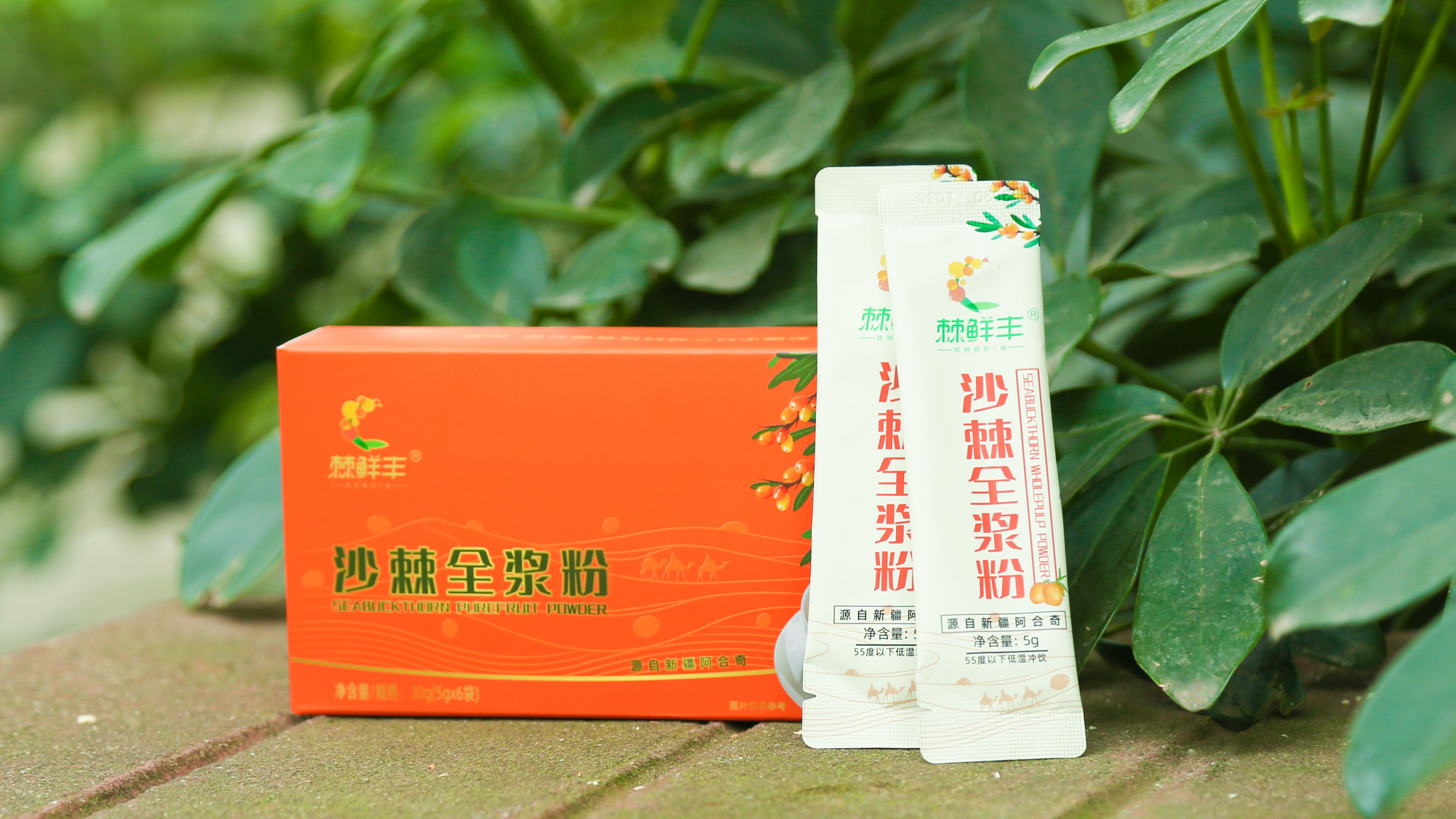 沙棘原浆/沙棘饮料/沙棘果粉/沙棘油