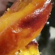 瓦房店市蜜薯