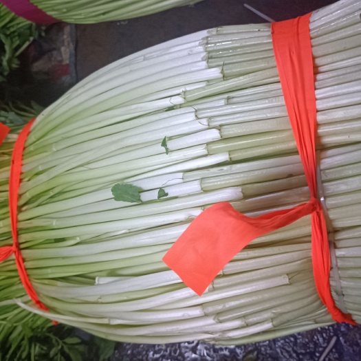 水芹，芹菜，去根水芹菜