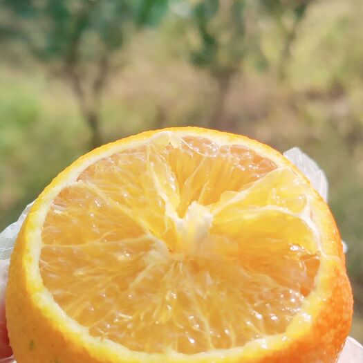 仁寿县爱媛38纯甜产地直发基地供货货品有保证