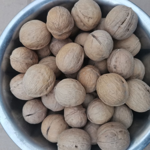 赞皇县核桃出口厂家 三三核桃薄皮核桃 坚果原味核桃