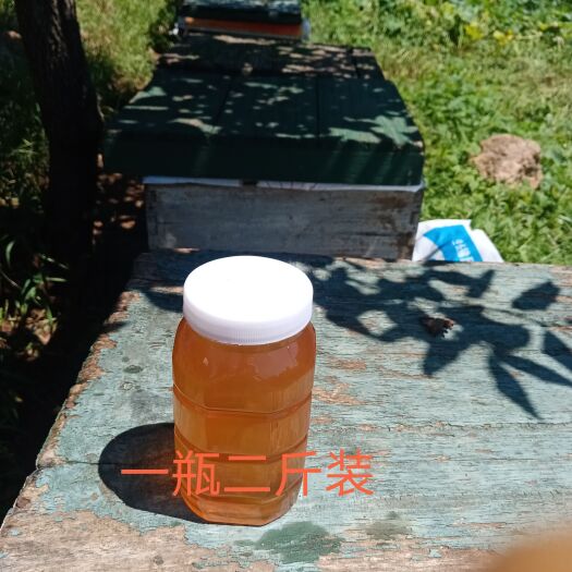 安丘市百花蜜野花蜜天然土蜂蜜山上养殖蜜蜂