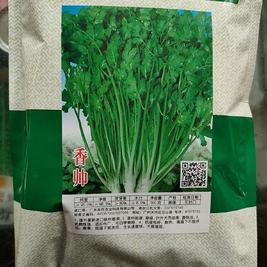 夏邑县香菜，香帅