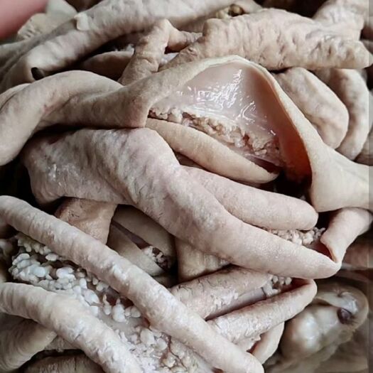 无棣县牛肠纯干  去油  大肠小肠   四五分熟