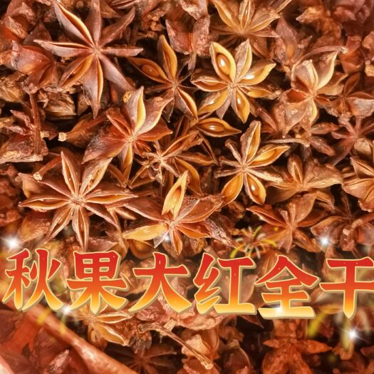 龙州大红八角  2025年广西八角包邮水烫无硫全干新季节八角