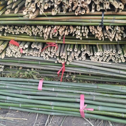耒阳市新鲜的菜架竹，西红柿架，一豆角架