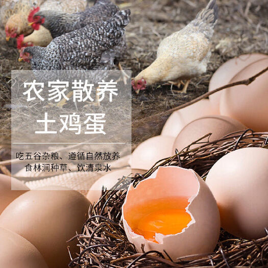 慈溪市正宗土鸡蛋新鲜柴鸡蛋农家散养树林草鸡蛋当天现捡现发包邮笨鸡蛋
