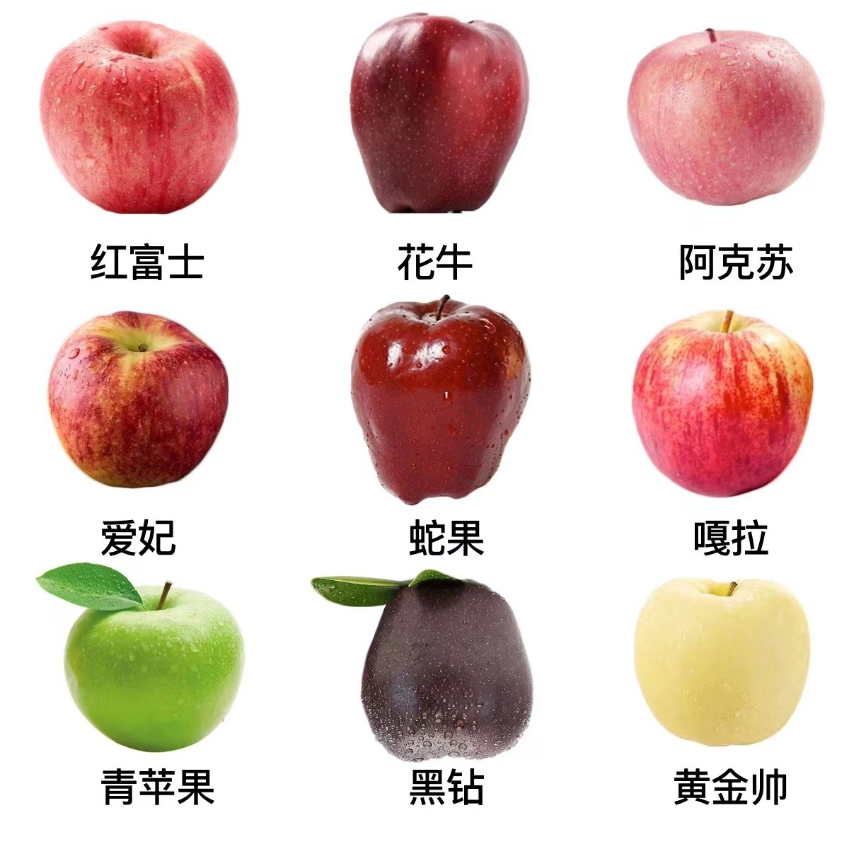 1—5年苹果树苗，0.8cm以上，含有多个品种，基地直发