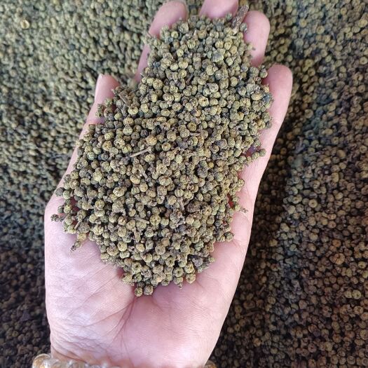 玉林干货统货茱萸吴茱萸别名茶辣漆辣子量大从优