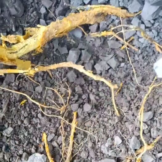 玉林特大穿破石