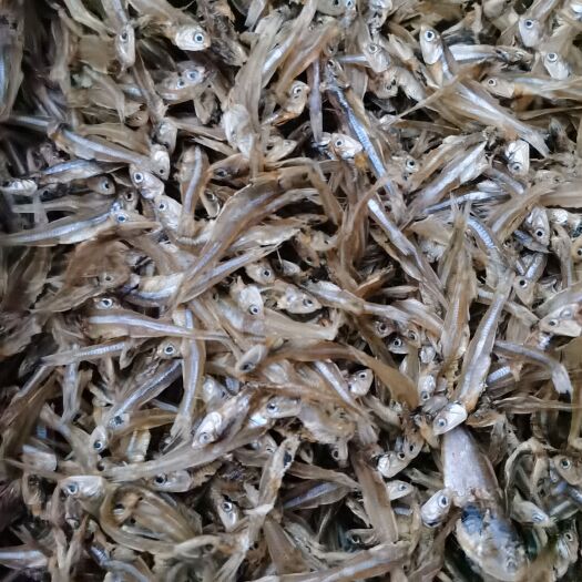 苍南县白凡鱼公干鱼海燕鱼