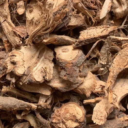 长期供应｛苎麻根｝可批量可零售量大从优【包邮】