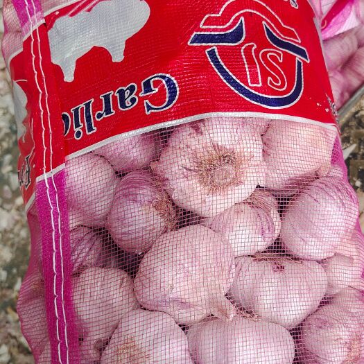 中牟县紫皮蒜