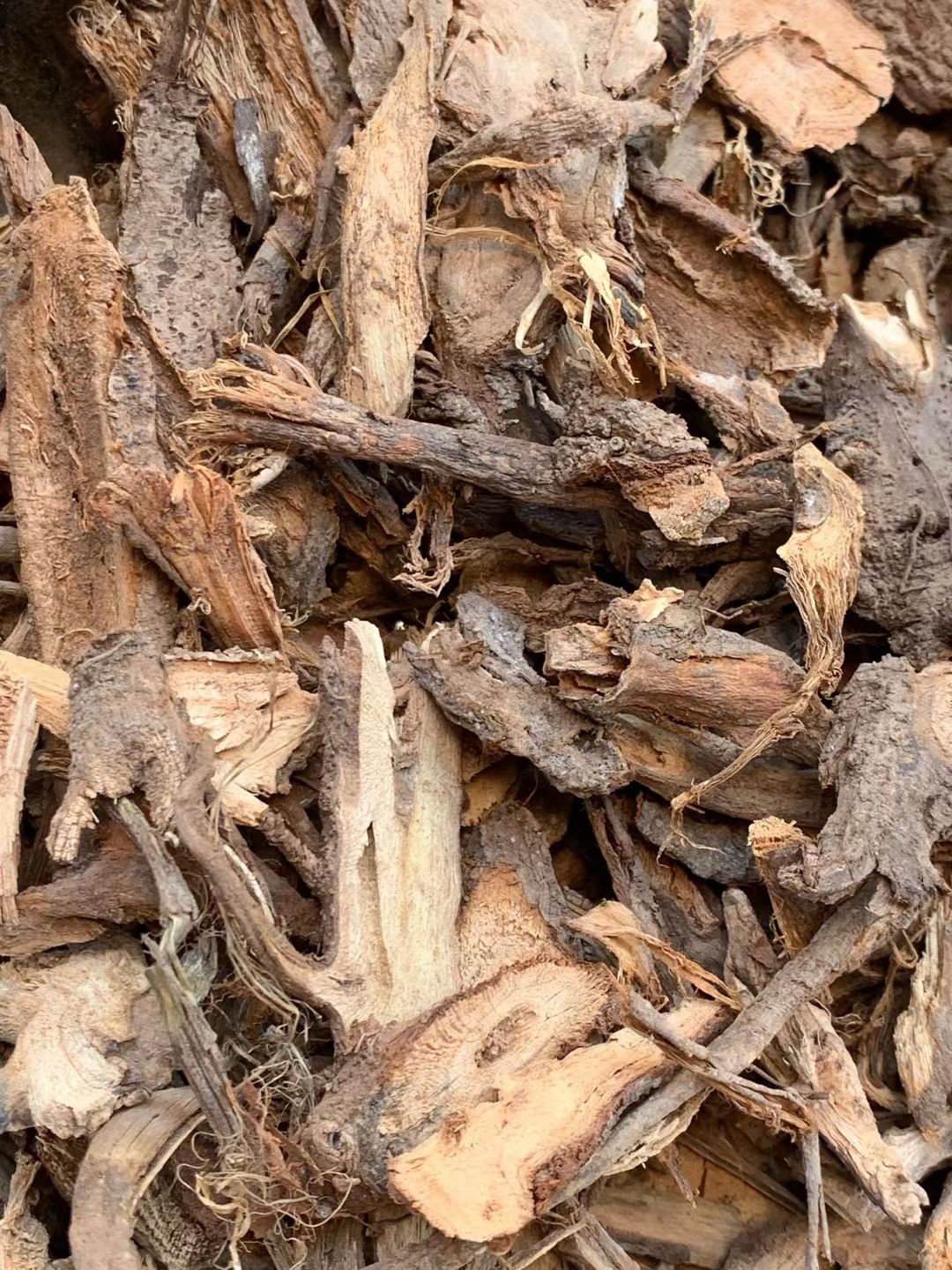 长期供应｛苎麻根｝可批量可零售量大从优【包邮】