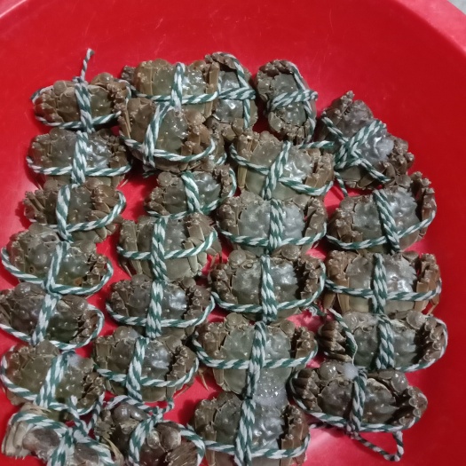 大闸蟹