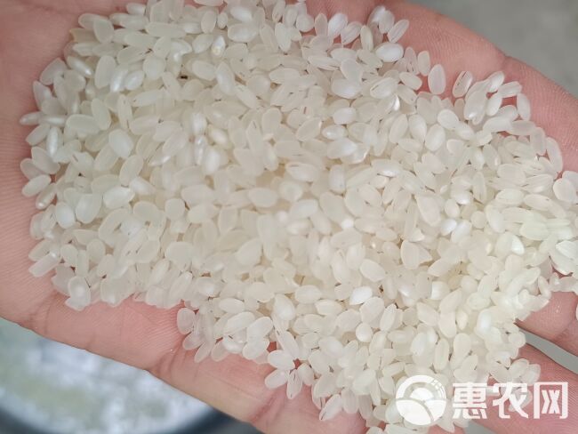 香米  安徽本地晚稻加工，米香软糯，质优价廉，厂价直消，长年