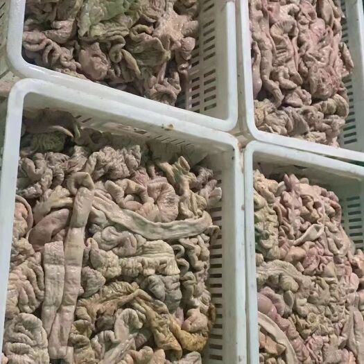 重庆市来自重庆的川鲜卤肥肠