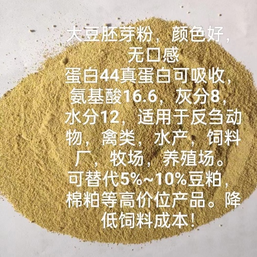 郓城县大豆胚芽粉蛋白高成本低