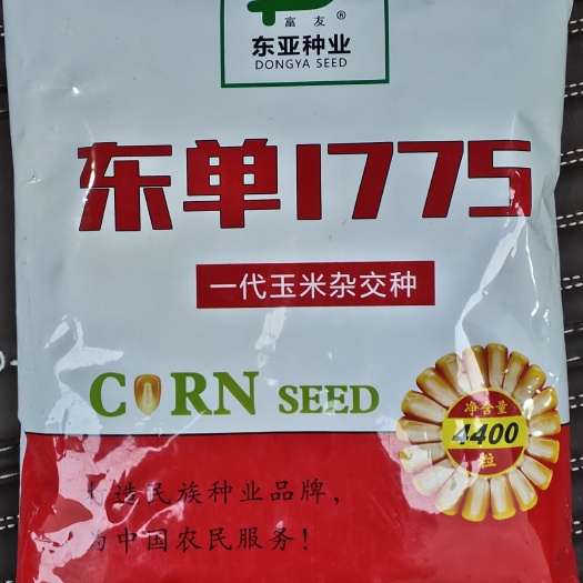 郑州东单1775