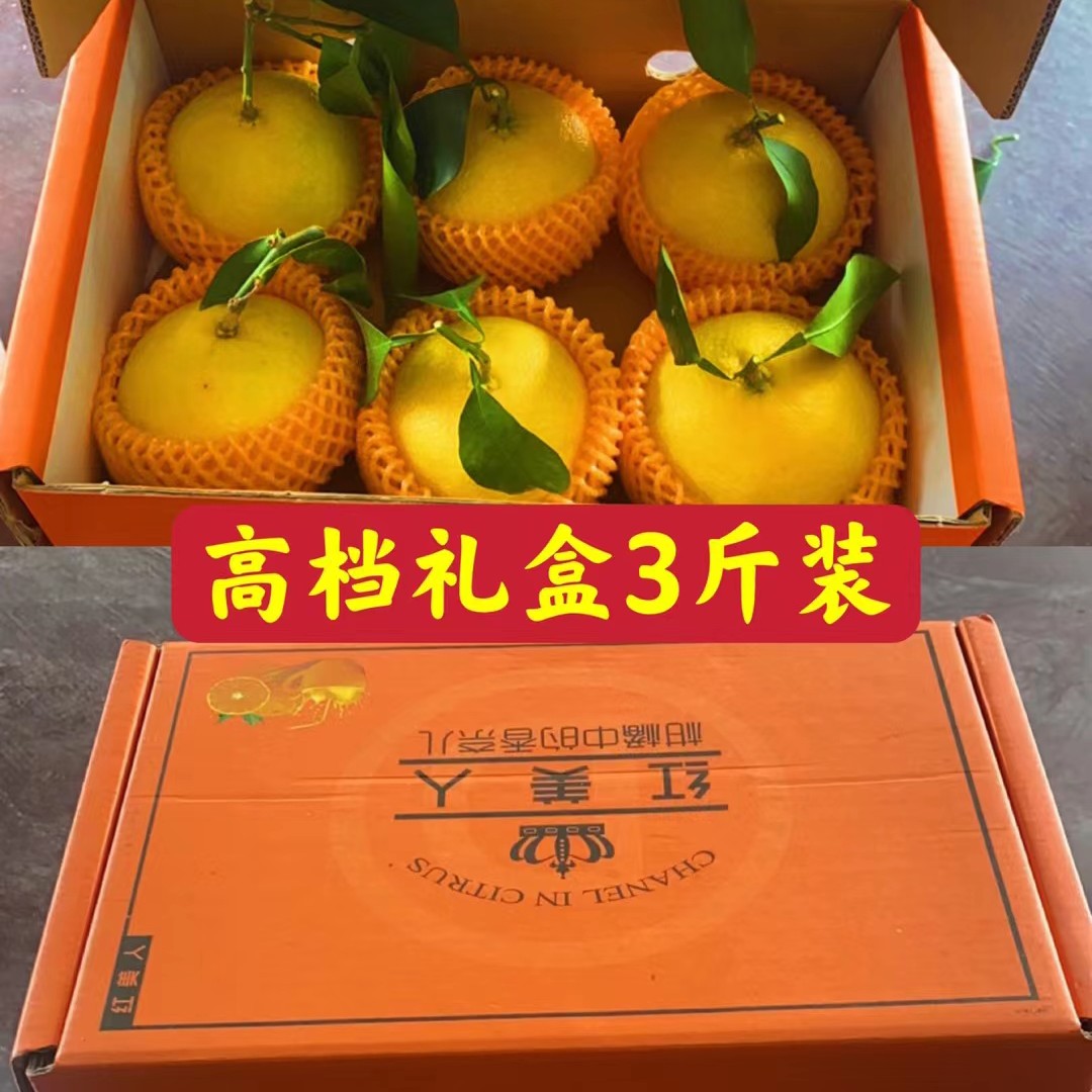 红美人果冻橙