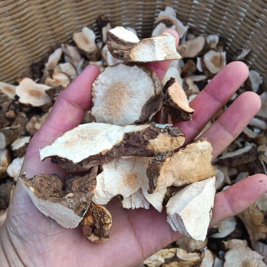 乳源县土茯苓，产地广东韶关、自己手工切晒洗的干净
