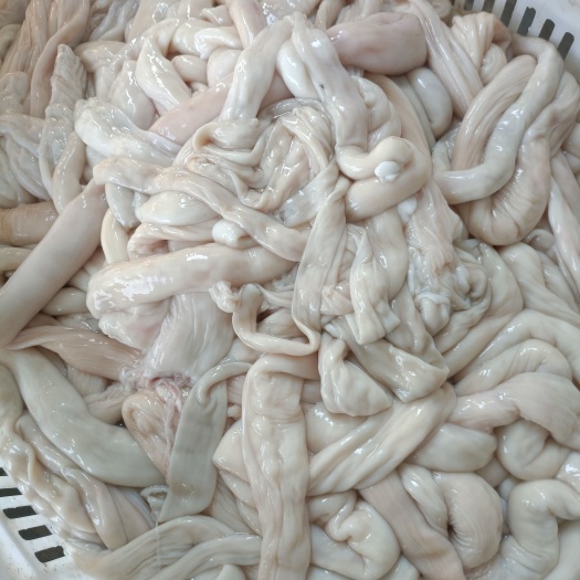 阜阳羊肥肠