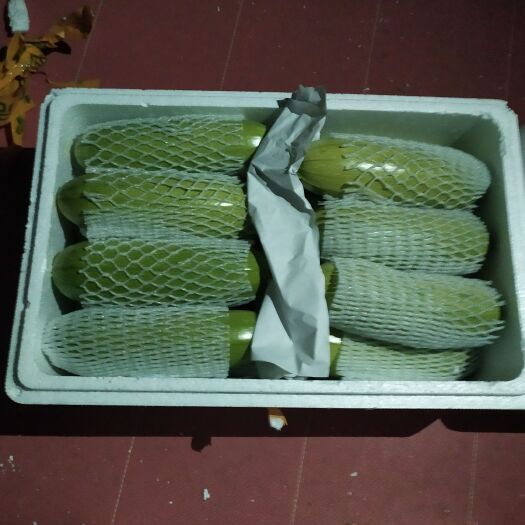 寿光市精品绿西葫芦