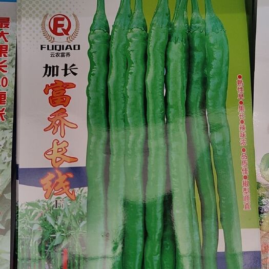 文山市精品线椒