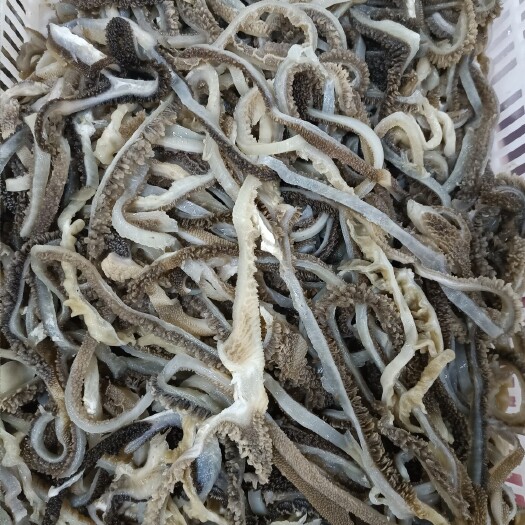 成都羊肚丝(水发)自助火锅冒菜麻辣烫串串香烫涮凉拌菜系