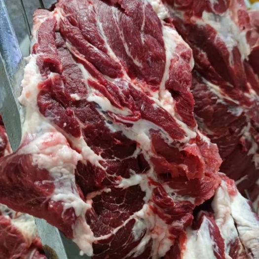 母猪精修一号肉