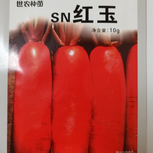 高端韩国原装世农红玉红萝卜种子红萝卜种子红皮白肉萝卜种子