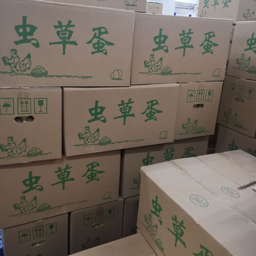 合肥精品鸡蛋