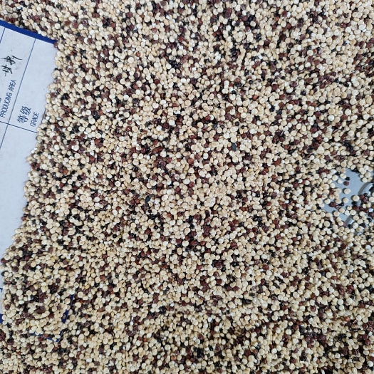 三色黎麦米